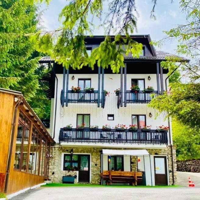 Cabana Din Poienita Poiana Brasov Exterior foto