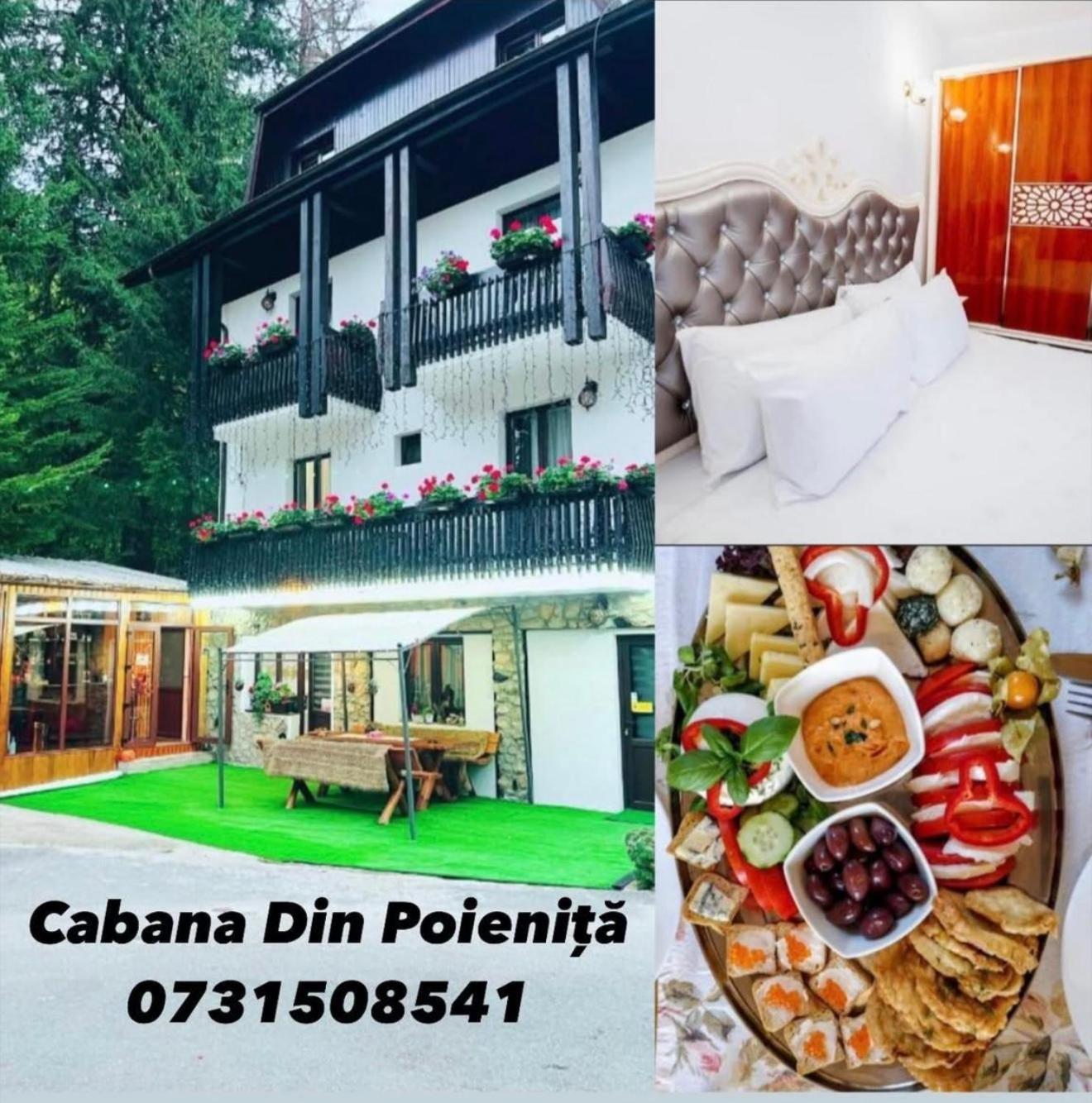 Cabana Din Poienita Poiana Brasov Exterior foto